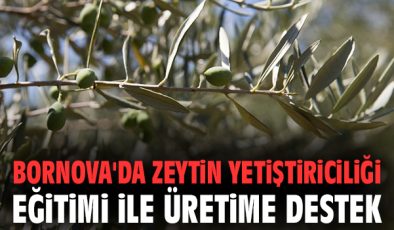 Bornova’da Zeytin Yetiştiriciliği Eğitimi Başlıyor!