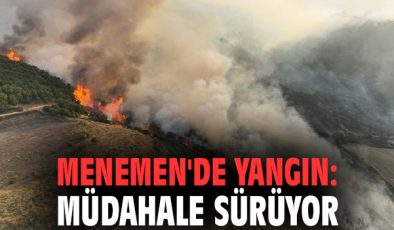 Menemen’de Orman Yangını, Ekipler Seferber Oldu!