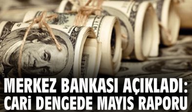 Mayıs’ta Cari İşlemler Açığı 684 Milyon Dolar!