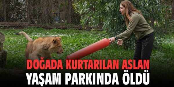 Yavru Aslan Pars’ın Ölümü İhmal Mi?