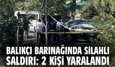 Küçükçekmece’de Silahlı Saldırı: 2 Yaralı, 1 Köpek Öldü