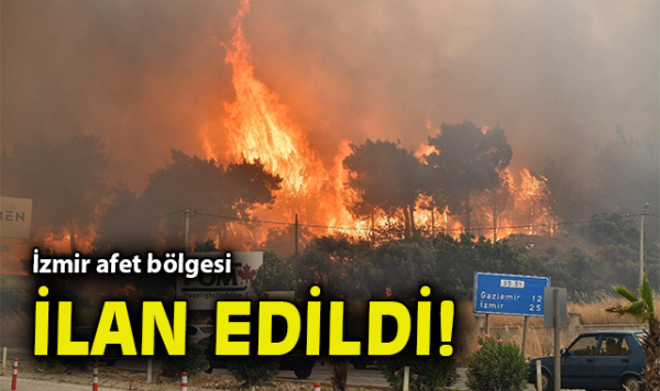 Orman Yangınları Sonrası Bilecik ve İzmir Afet Bölgesi