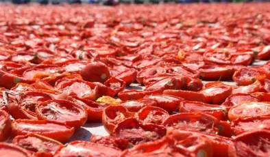 Torbalı’nın Kuru Domatesi Dünyada Parlıyor!