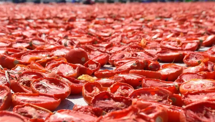 Torbalı’nın Kuru Domatesi Dünyada Parlıyor!
