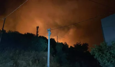 İzmir’de Alevler Ürkmez Mahallesi’ni Tehdit Ediyor!