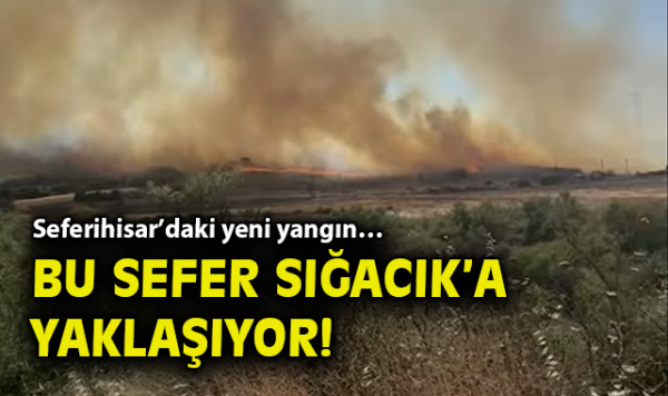Seferihisar’da Yangın Alarmı: Yeni Alevler!
