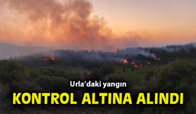 İzmir’de Orman Yangınına Hızlı Müdahale!