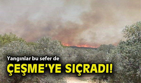 Çeşme’de Yangın: Rüzgar Alevleri Büyütüyor!