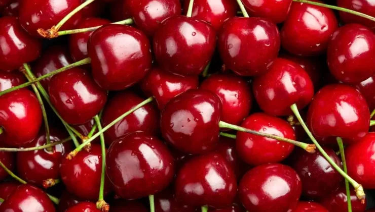 Zirai Don, Türkiye’de Kiraz Hasadını Vurdu!