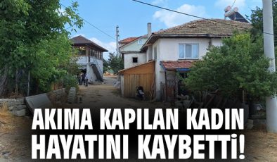 İnek Sağıma Giderken Elektrik Çarpması: 1 Ölü