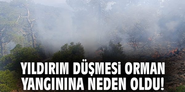 Denizli’de Orman Yangınına Hızlı Müdahale Başladı!