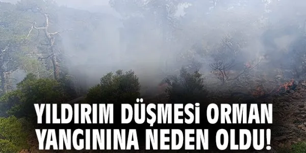 Denizli’de Orman Yangınına Hızlı Müdahale Başladı!