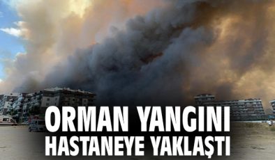 Çanakkale’de Orman Yangını Panik Yarattı!