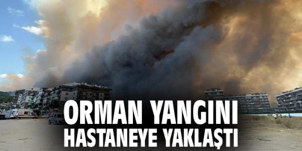 Çanakkale’de Orman Yangını Panik Yarattı!