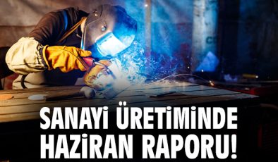 Sanayi Üretimi Haziran’da Yüzde 8,3 Arttı!