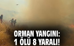 Balkanlar’da Orman Yangınları: 37 Yangın Aktif!
