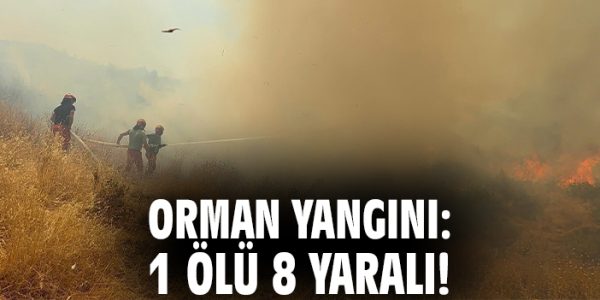Balkanlar’da Orman Yangınları: 37 Yangın Aktif!