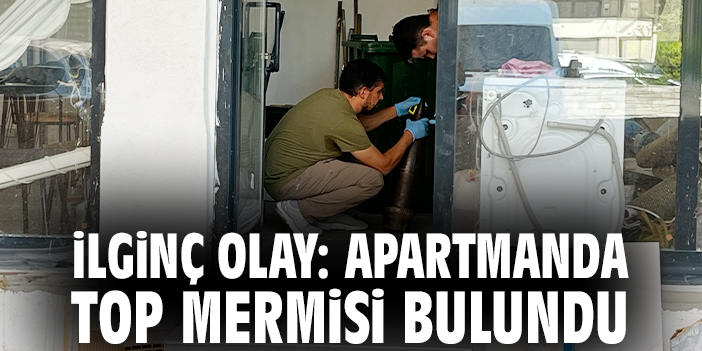Top Mermisi Dekorasyon! Evde Şok Olay