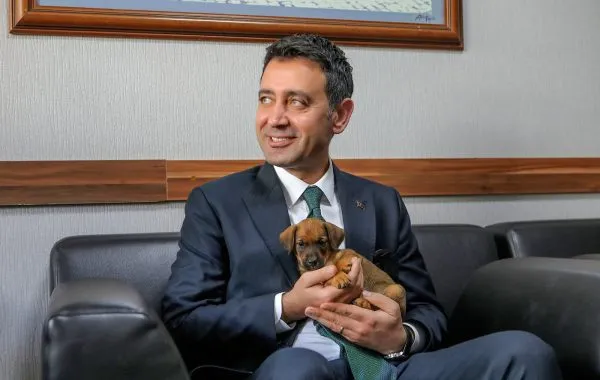 Bayraklı’da 8 bin 379 sokak hayvanı tedavi edildi