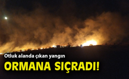 İzmir’de Otluk Alanda Yangın Panik Yaratmıştı!