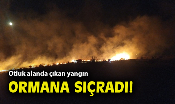 İzmir’de Otluk Alanda Yangın Panik Yaratmıştı!