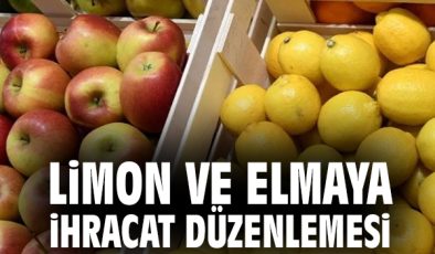 İhracı Kayda Bağlı Mallara Yeni Eklemeler Yapıldı