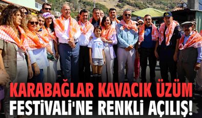 Kavacık Üzüm Festivali Renkli Görüntülerle Başladı