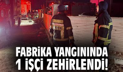 Plastik Fabrikasında Yangın: Bir İşçi Hastaneye Kaldırıldı
