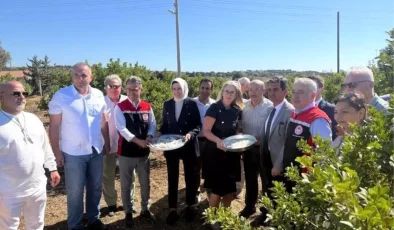 Çeşme’de Damla Sakızı ve Zeytin Hasadı Başladı!