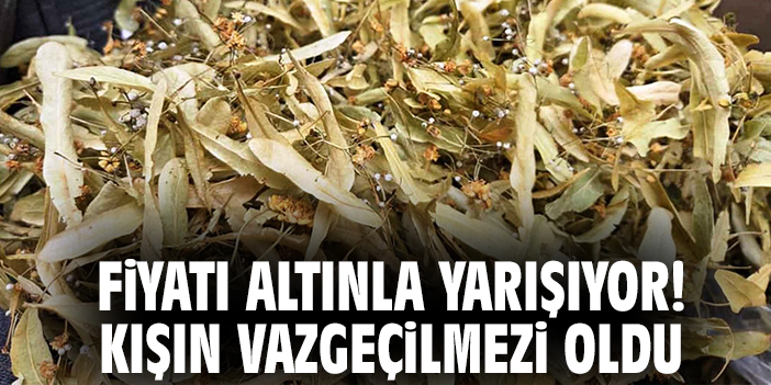 Kışın Vazgeçilmezi: Ihlamurun Faydaları ve Fiyatı