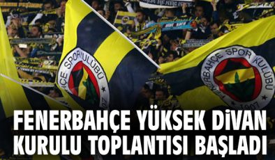 Fenerbahçe’nin Olağan Toplantısı Yapıldı