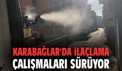 Karabağlar’da Haşereyle Mücadele Devam Ediyor