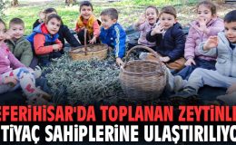 Seferihisar’da Çocuklar Zeytin Topladı, Dayanışma Büyüyor!