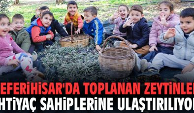 Seferihisar’da Çocuklar Zeytin Topladı, Dayanışma Büyüyor!