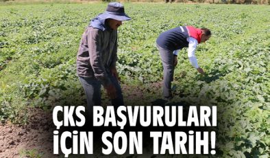 ÇKS Başvuruları İçin Son Tarih 31 Aralık!