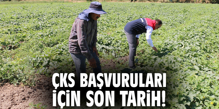 ÇKS Başvuruları İçin Son Tarih 31 Aralık!