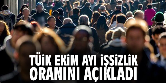 Ekim İşsizlik Raporu: İstihdamda Artış, Gençlerde Zorluk