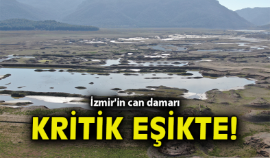 İzmir’de Kuraklık Alarmı: Barajlar Tehlikede!