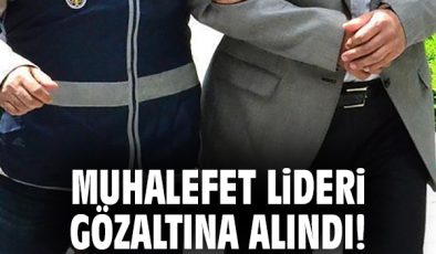 Ali Kerimli Gözaltına Alındı: Gelişmeler Neler?