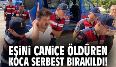 Cinayet Zanlısı Tahliye Oldu, Aile İsyan Etti!