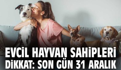 Evcil Hayvanlarda Mikroçip Zorunluluğuna Dikkat!