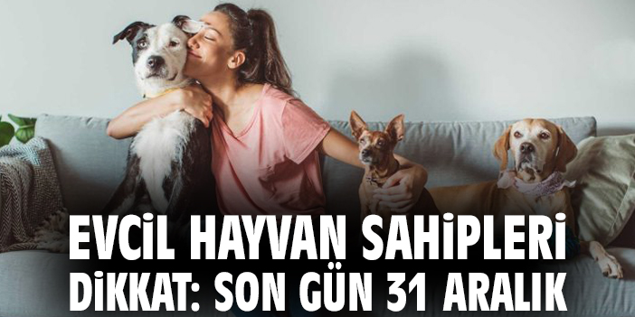 Evcil Hayvanlarda Mikroçip Zorunluluğuna Dikkat!