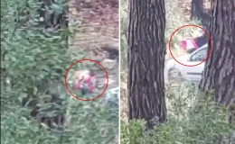 Buca’da Yürüyüşte Şiddete Tanıklık!