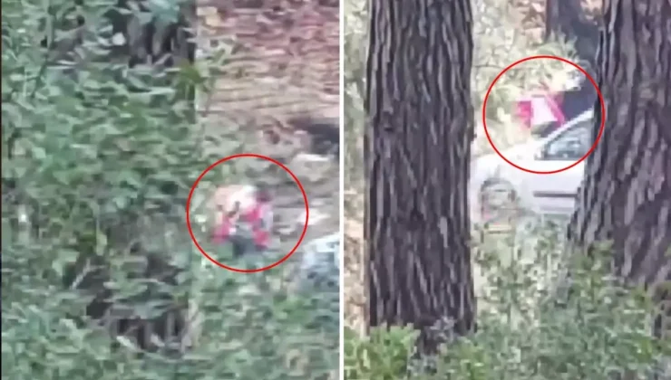 Buca’da Yürüyüşte Şiddete Tanıklık!