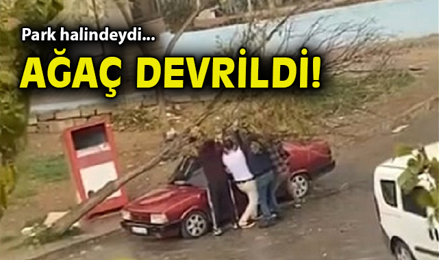 Şiddetli Rüzgar Ağaçı Devirip Araca Zarar Verdi!