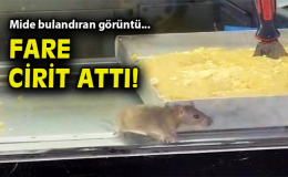 Buca’da Hijyen Skandalı: Fareli Börek Dükkanı Mühürlendi!