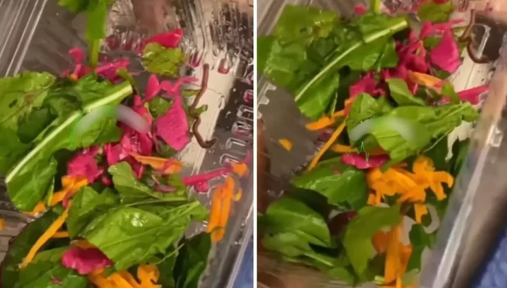 Salatada Şok! Pideci’de Olay Yaratan Buluntu