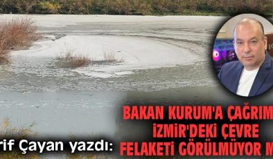 İzmir’de Çevre Felaketi: Sorumlular Nerede?