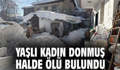 80 Yaşındaki Kadın Donarak Hayatını Kaybetti