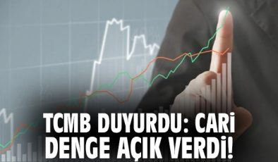 Kasım Ayında Cari Açık 3.996 Milyon Dolar!
